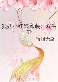Fox Demon Little Matchmaker Luanmie: Twin Dreams